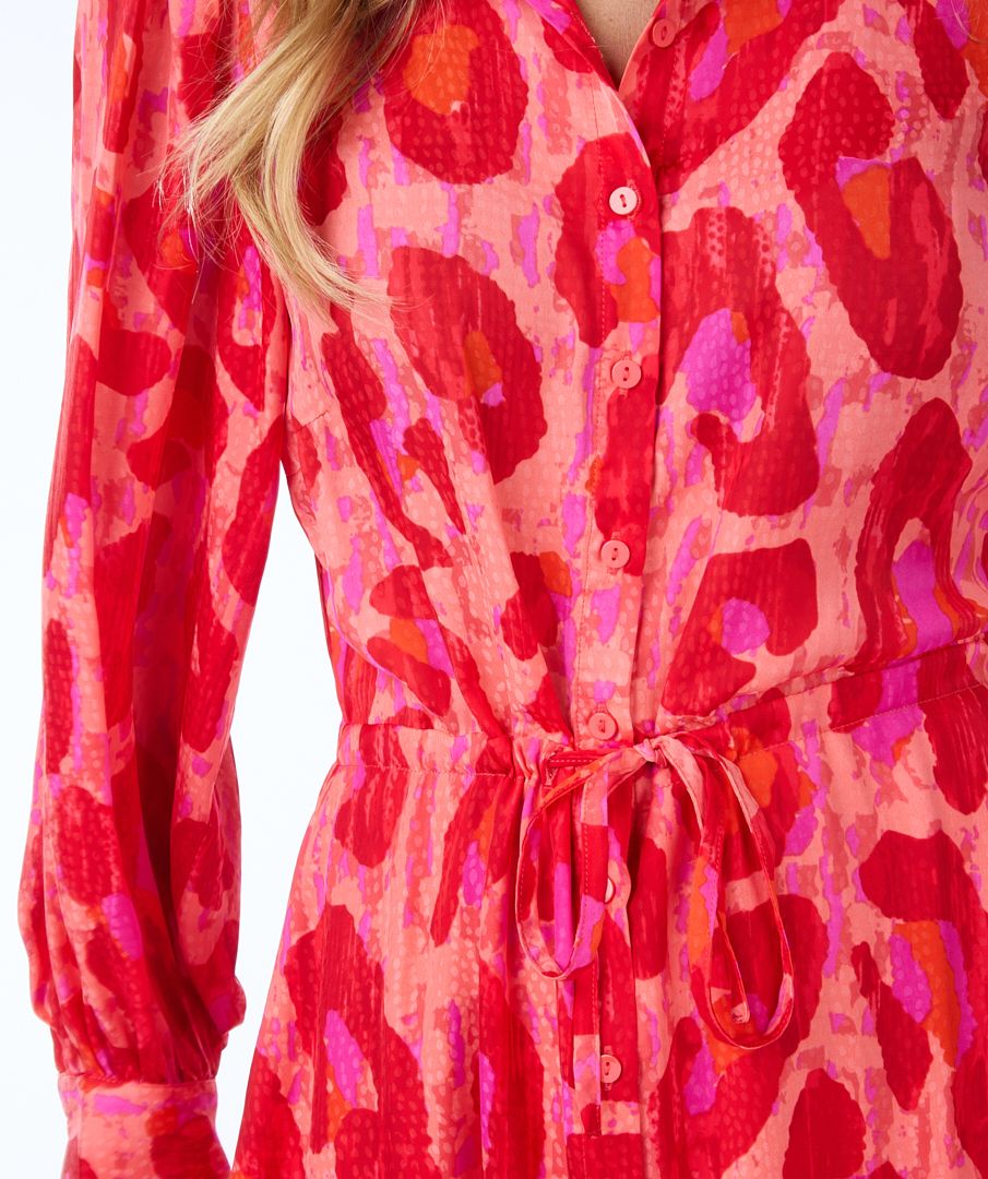 Cheeta Print Maxi Dress