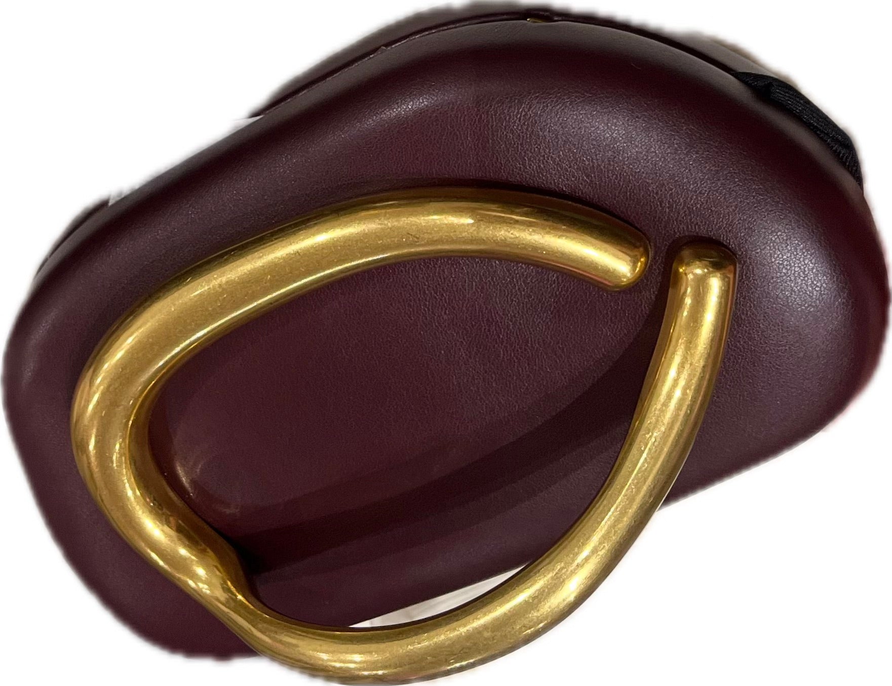Burgundy Bag